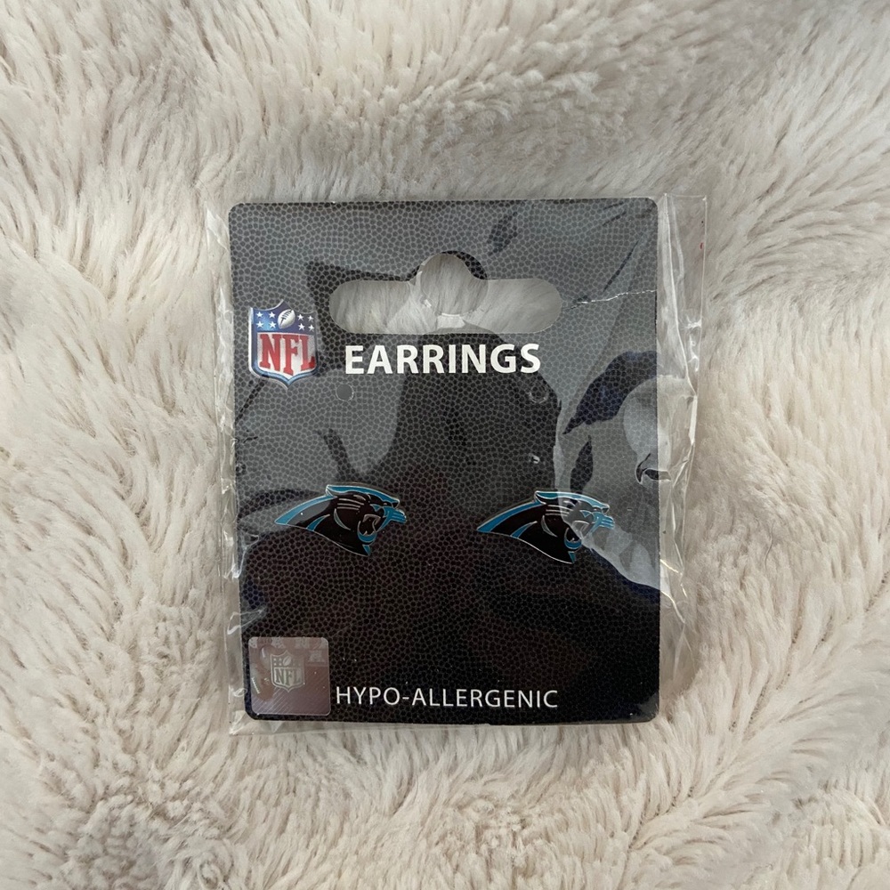 NFL Stud Panthers Earnings